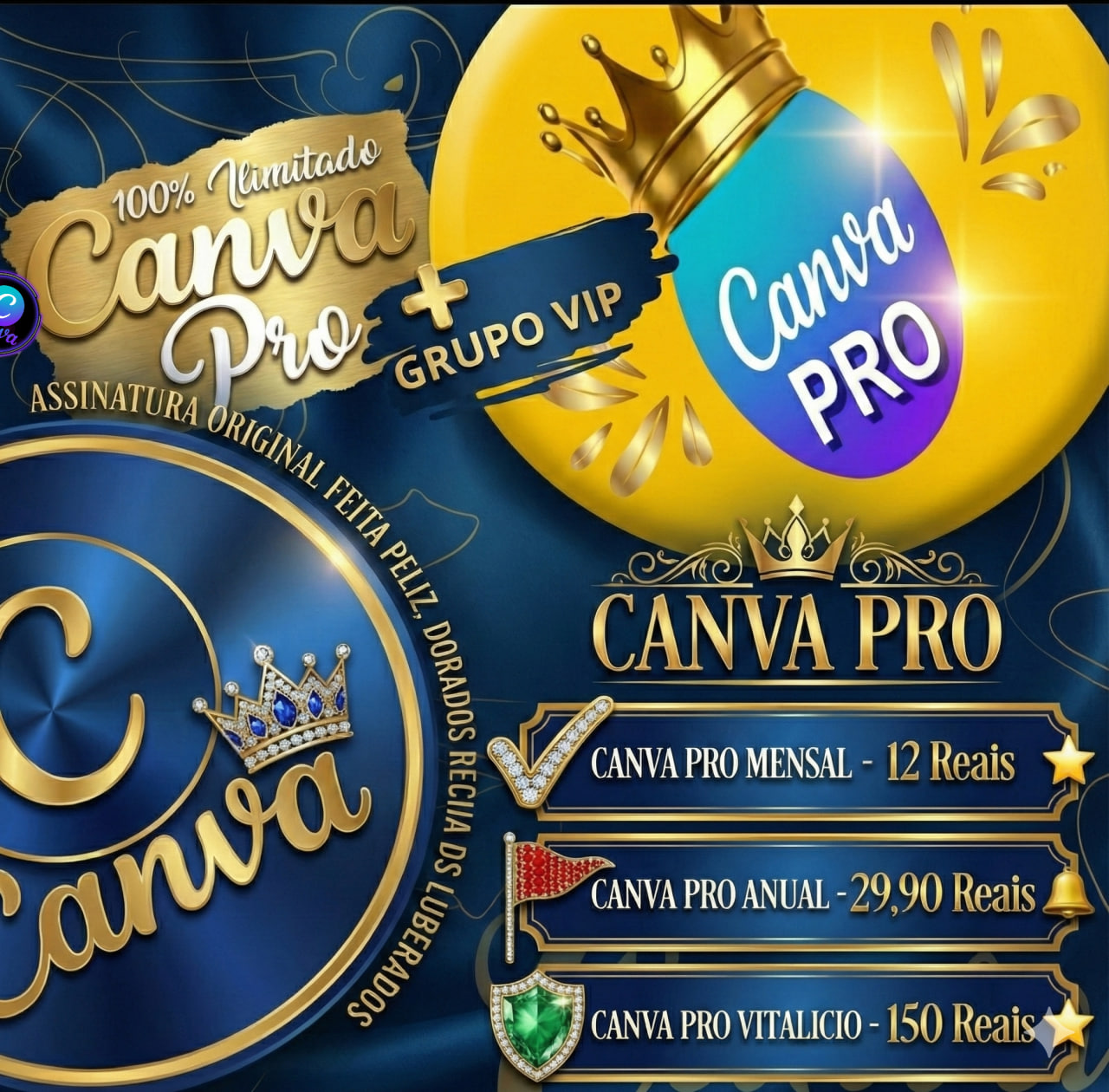 Canva Pro
